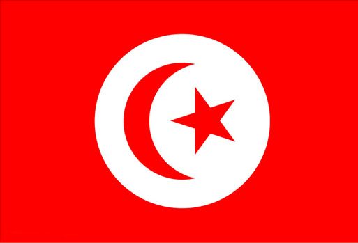突尼斯签证